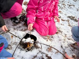 Udział klas 1b i 1c w PROJEKCIE DZIECI LASU 